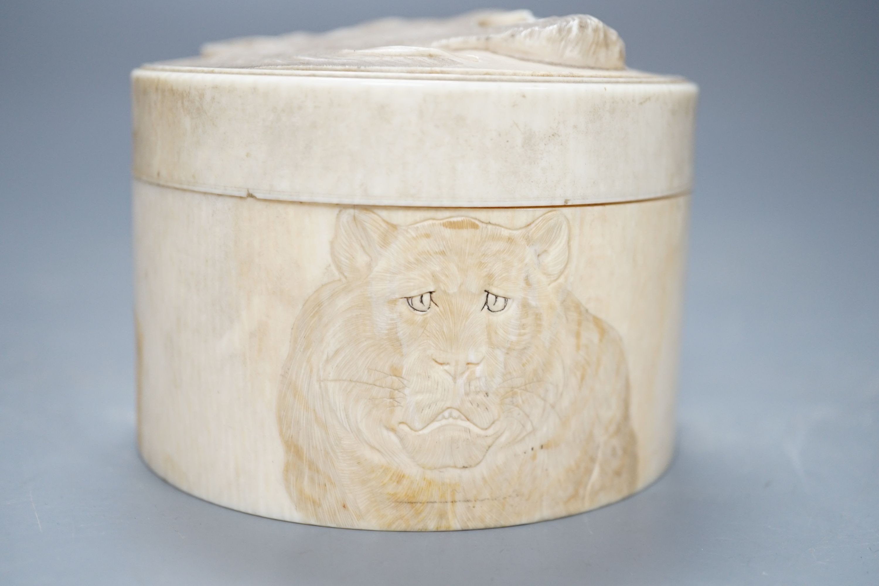 A Japanese ivory box and cover, Meiji period, carved with tigers, 9.2cm